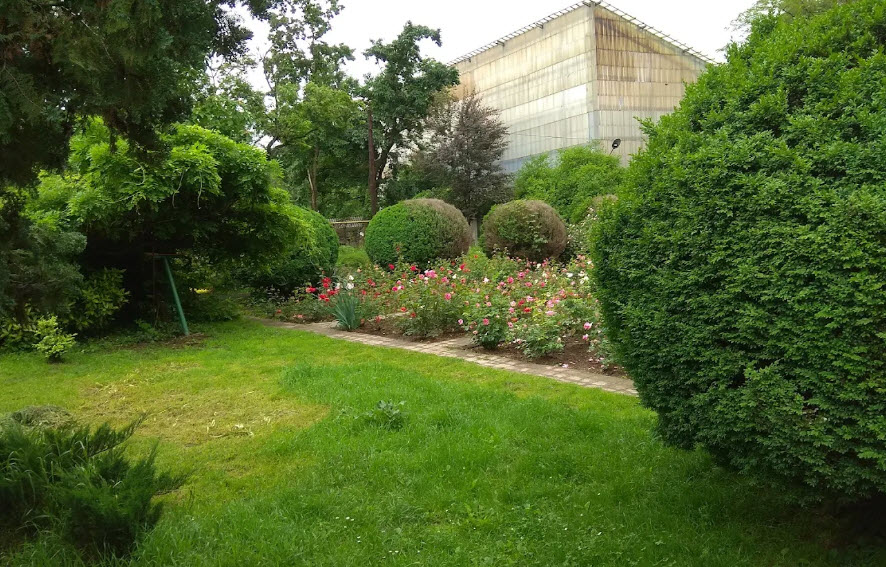 UzhNU Botanical Garden, Ukraine